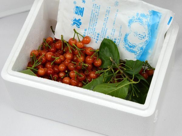 泡沫蔬菜保鮮箱　